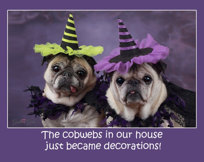 BOX of 10 Halloween Cards - Pug Card - Cute Card - 5x7