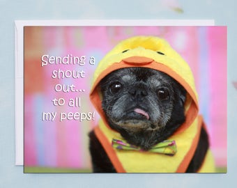 Funny Easter Card - Pug Card-  My Peeps - 5x7