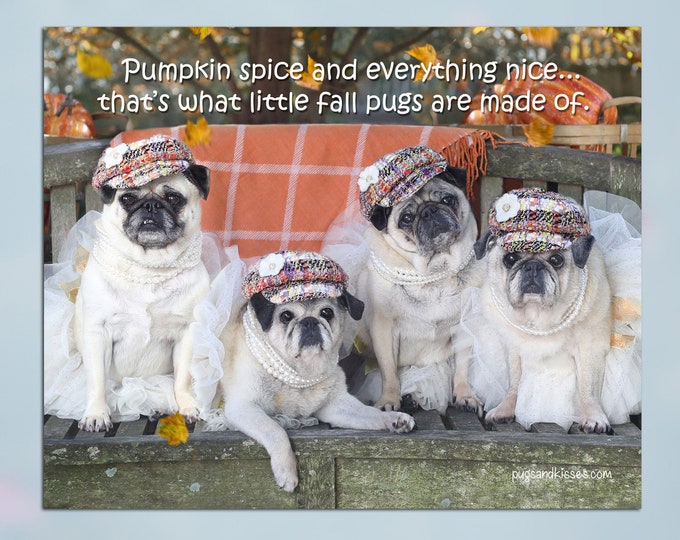 Pug Wall Art - Pumpkin Spice - Pug Art Print - Pug Gift by Pugs and Kisses 5x7 8x10 11x14 16x20