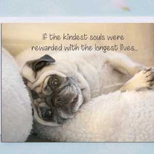 TARJETA DE CONDONÍA - Si el más amable de los espíritus - Tarjeta de condolencias de Pug de 5x7 de Pugs and Kisses