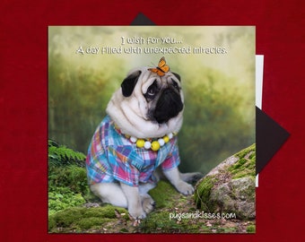 Pug Magnet - I Wish for You - 5x5  Pug magnet - by Pugs and Kisses