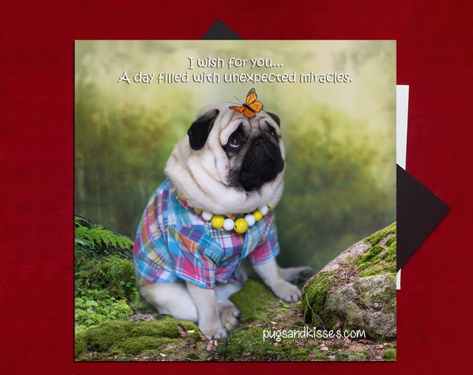 Pug Magnet - I Wish for You - 5x5  Pug magnet - by Pugs and Kisses