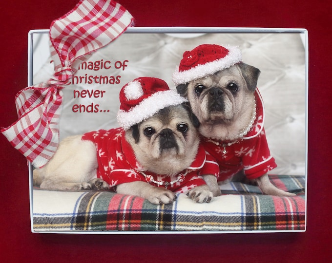 BOXED Christmas Cards - The Magic of Christmas - Pug Christmas cards - 5x7 by Pugs and Kisses