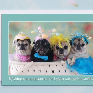 Cartão de Páscoa Engraçado - Cartão Pug - Cesta Cheia de Sorrisos 5x7