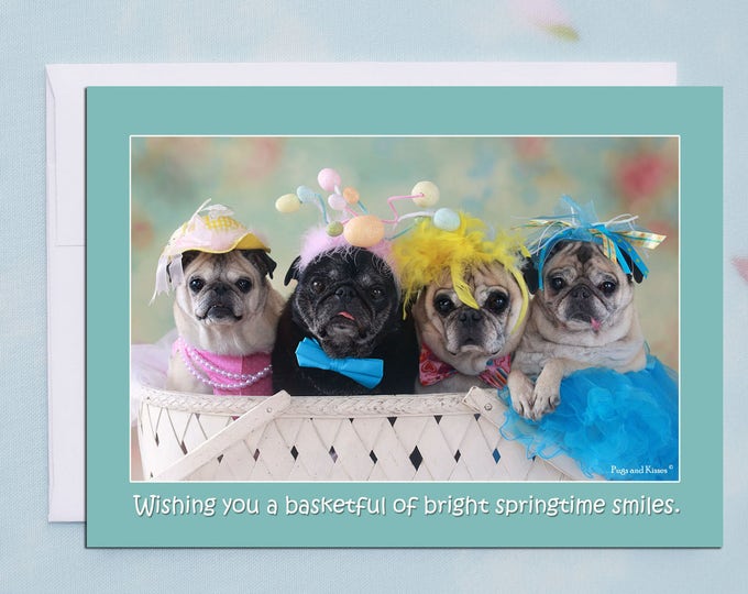 Funny Easter Card - Pug Card- Basketful Of Smiles 5x7