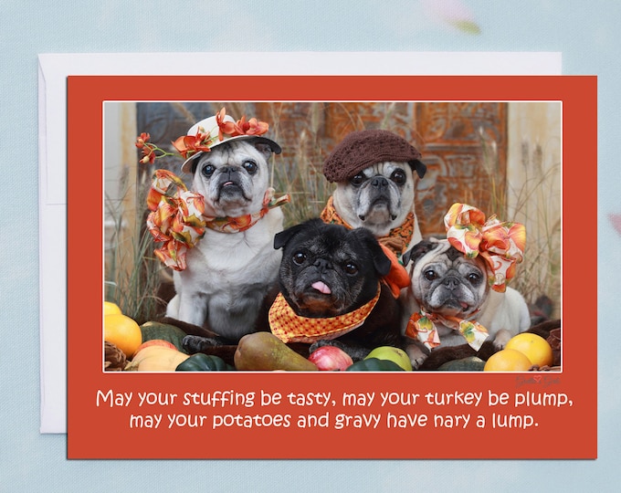 THANKSGIVING Card - May Your Stuffing Be Tasty - Funny Pug Card -5x7
