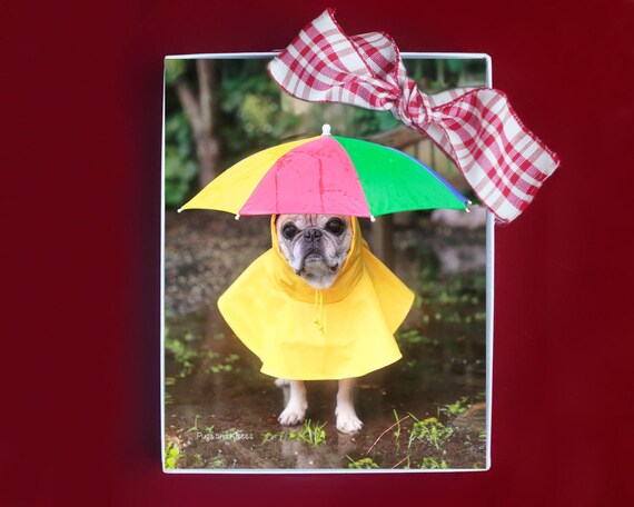 Note Cards - Adorable Pugs Note Cards Boxed Set - 8 Pugs Note