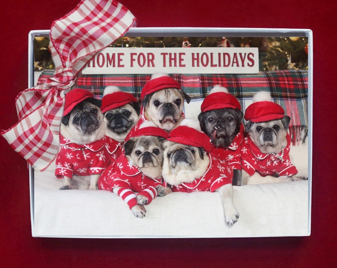 BOXED CHRISTMAS Cards - Home for the Holidays - Pug Holiday Cards - 5x7