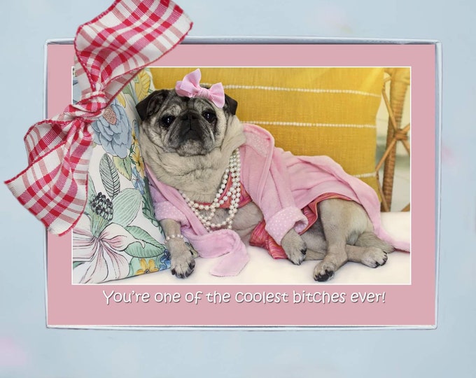 Greeting Card Set of 10 Custom Pack - Funny Pug Cards - Cards for Friends by Pugs and Kisses