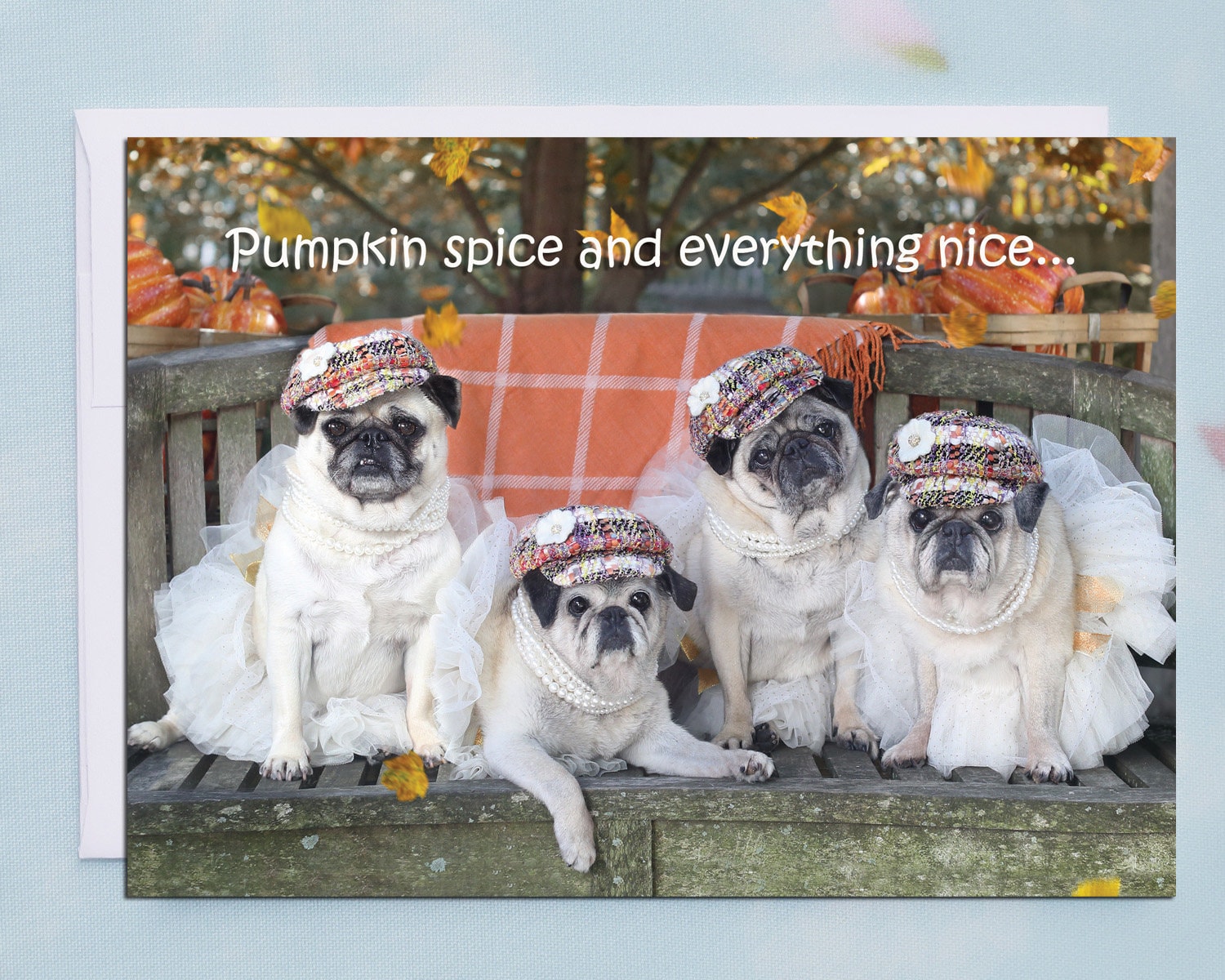 new boxed thanksgiving cards pumpkin spice funny pug cards by