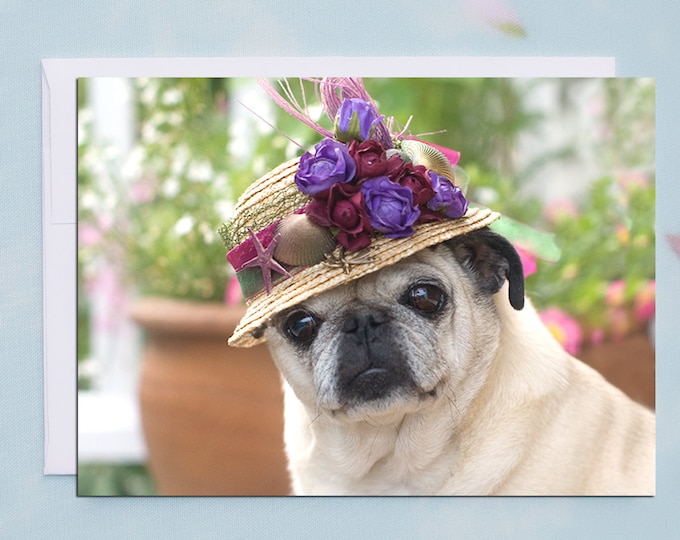 BLANK Card - The Farmers Market - All Occasion PUG Greeting Card- Pug Gift - Pugs and Kisses - 5x7