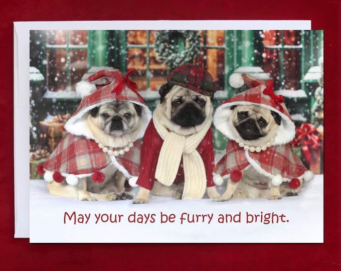 CHIRSTMAS Card - May Your Days Be Furry and Bright  - Happy Holidays Card - Pug Holiday Card - 5x7