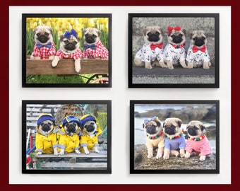 Pug Wall Art - Pug Puppies Wall Art Set - Pug Art Print - Pug Gift - by Pugs and Kisses 5x7 8x10 11x14 16x20