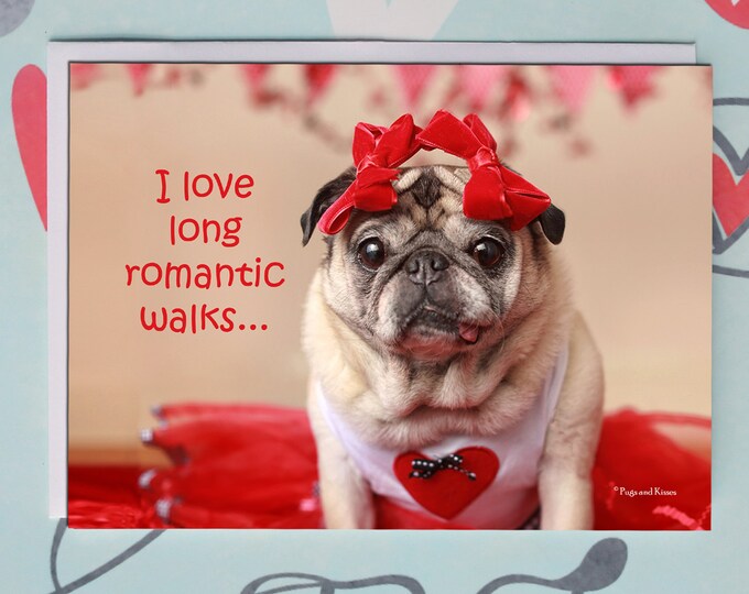 Funny Valentine Card - Romantic Walks - 5x7 Valentine's Day Pug Card