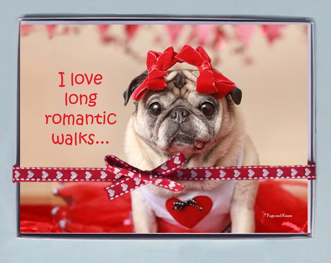 BOX OF 10 5X7 CARDS- Romantic Walks - Funny Valentines Day Card