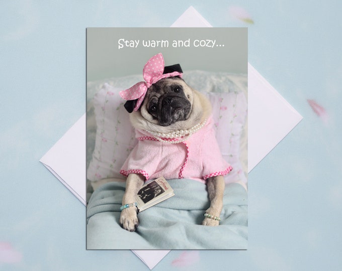 GET WELL CARD - Stay Warm and Cozy - Pug Card Pugs and Kisses - 5x7