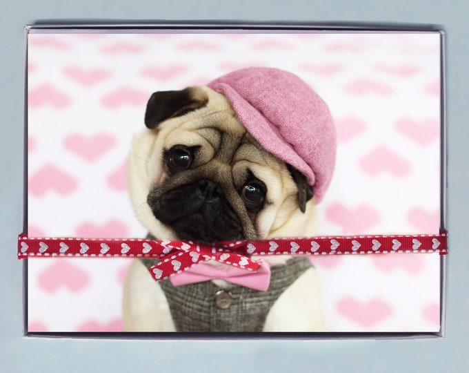 BOX OF 10 5X7 CARDS- Will You Be Mine? - Funny Valentines Day Card