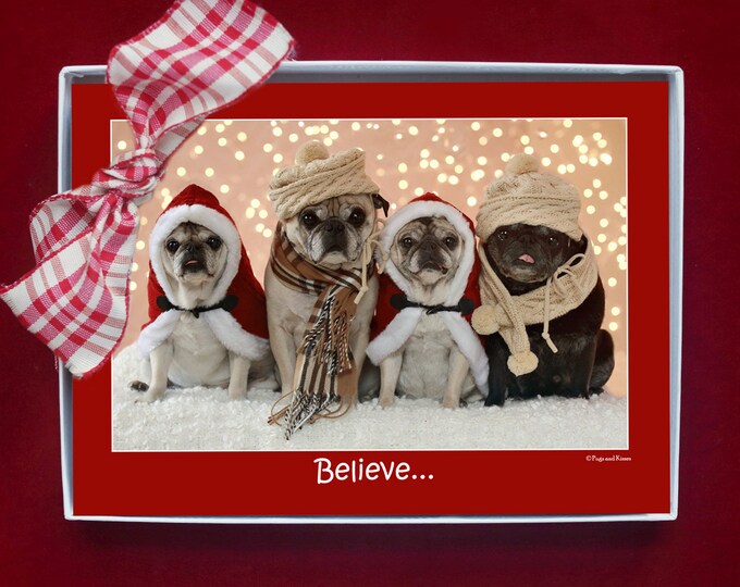 BOXED HOLIDAY Cards - Believe in the Magic - Pug Holiday Cards - 5x7