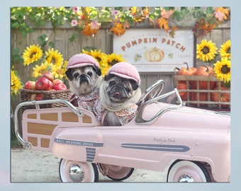 Pug Wall Art - Pumpkin Patch - Pug Art Print - Pug Gift - by Pugs and Kisses 5x7 8x10 11x14 16x20