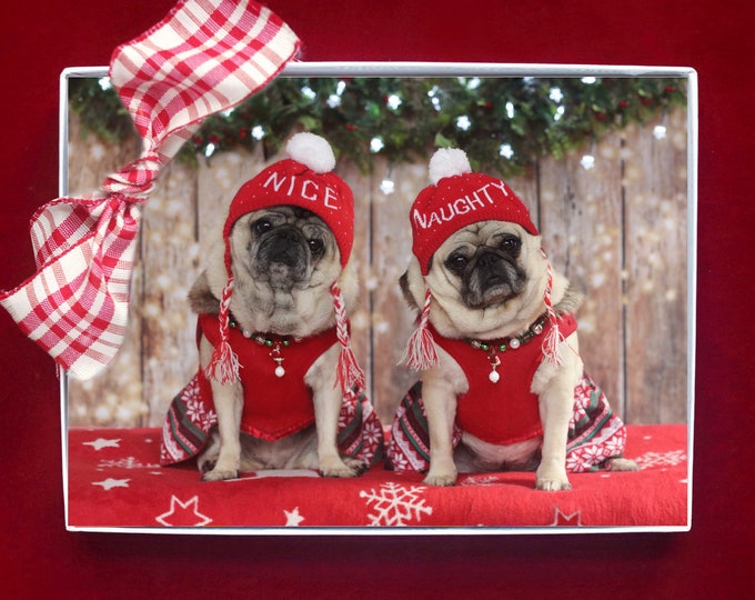 BOXED CHRISTMAS Cards - Naughty or Nice - Funny Pug Christmas Cards - 5x7