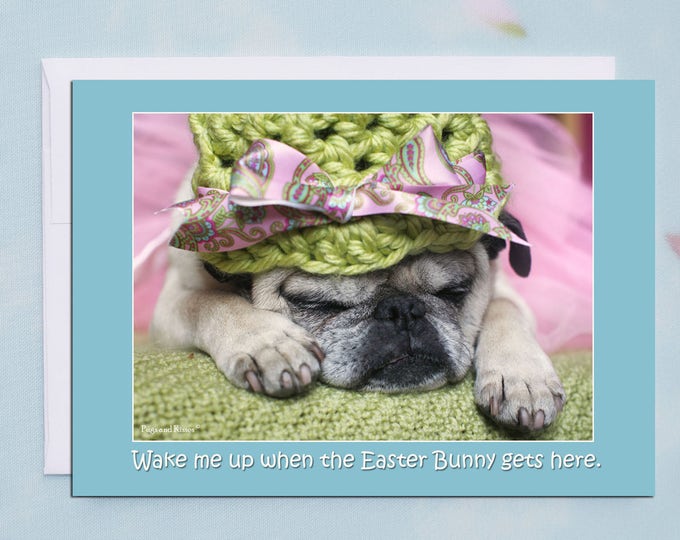 Wake Me Up 5x7 Easter Pug Card by Pugs and Kisses