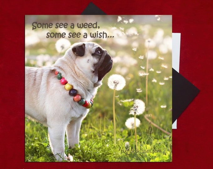 Pug Magnet - Some See a Wish - 5x5  Pug magnet - by Pugs and Kisses