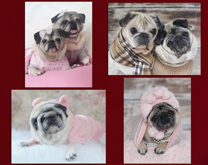 Note Card Set - Snuggle Pugs Note Cards - 8 Assorted Pug Note Cards - 4x5