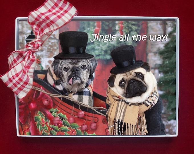 BOXED HOLIDAY Cards - Jingle All The Way - Pug Happy Holiday Cards - 5x7