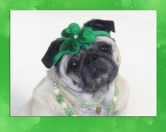You Are the Pot of Gold - St. Patrick's Day Pug Card by Pugs and Kisses