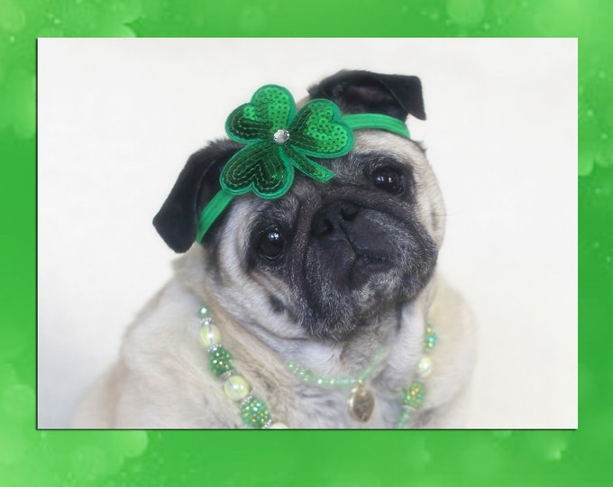 You Are the Pot of Gold - St. Patrick's Day Pug Card by Pugs and Kisses