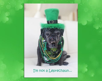 I'm Not  A Leprechaun - St. Patrick's Day Pug Card by Pugs and Kisses
