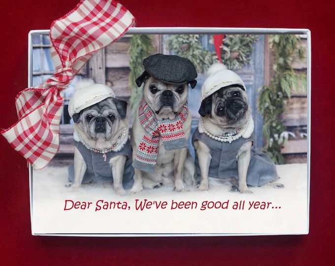 BOXED CHRISTMAS Cards - Dear Santa We've Been Good All Year  - Pug Christmas cards - 5x7