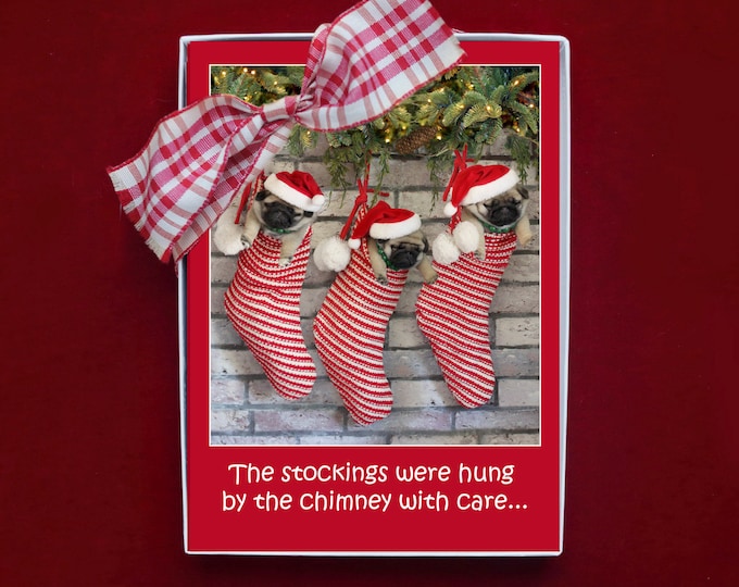BOXED CHRISTMAS Cards - The Stockings Were Hung - Funny Pug Christmas Cards - 5x7