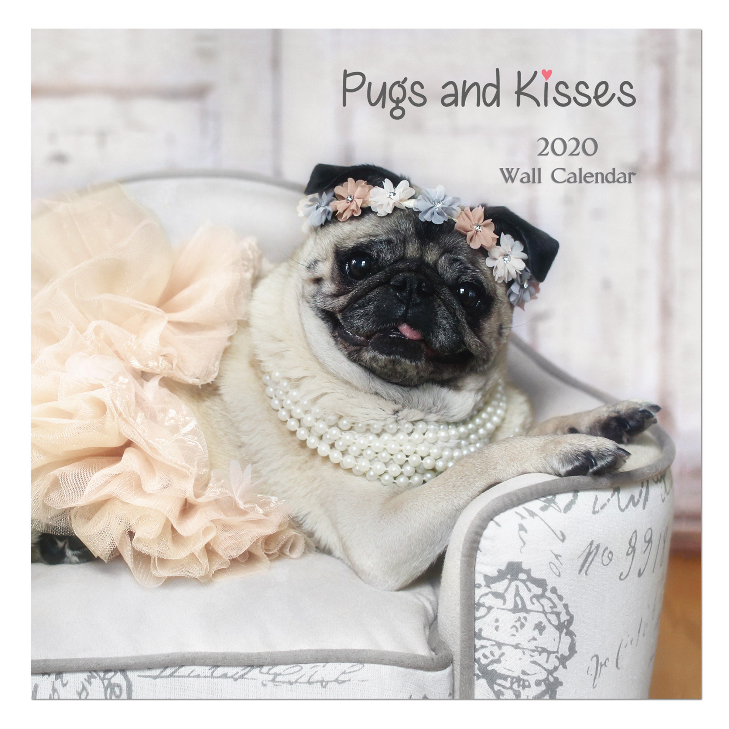 PACK of 5 - 2020 Wall CALENDAR - Pug Calendars by Pug and Kisses