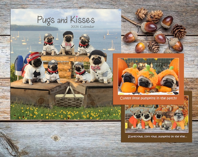 PACKAGE ~ 2024 Wall CALENDAR and Two New Thanksgiving Cards - Pug Calendar - Pugs and Kisses