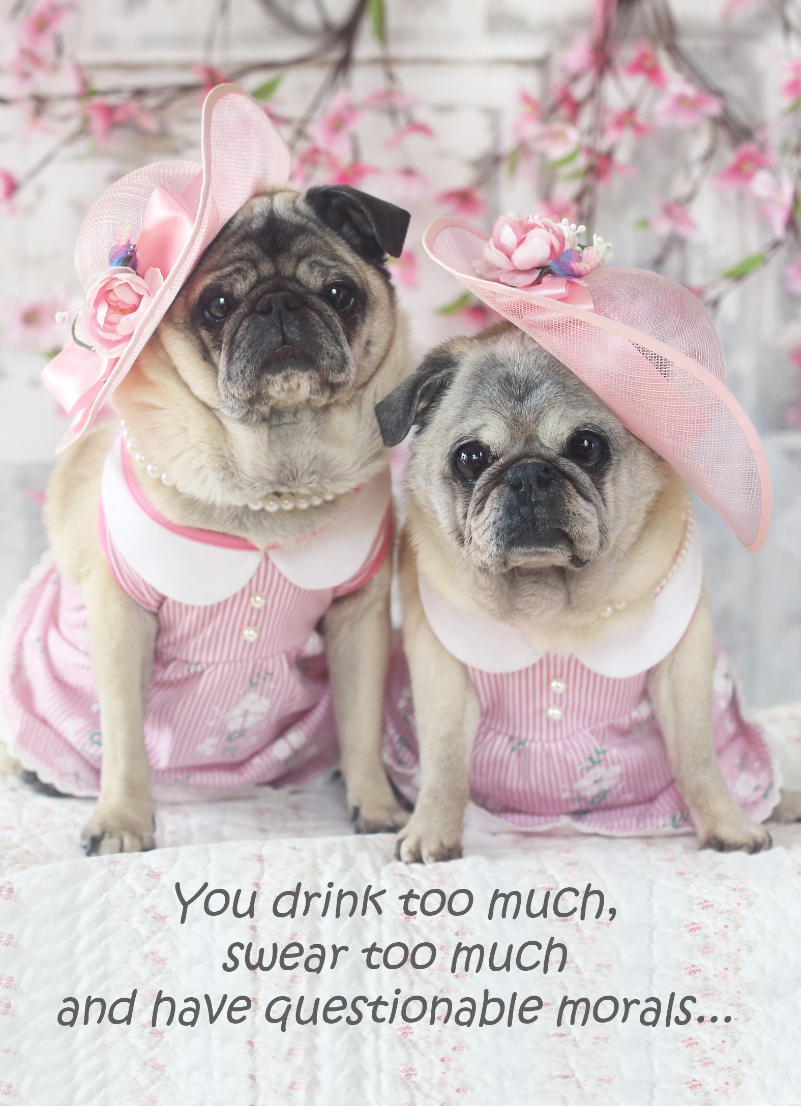 NEW Pug Birthday Card You Drink Too Much 5x7 Pugs And Kisses