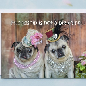 Lustige Freundschaftskarten - Freundschaft ist keine große Sache - Freundschaftskarten - 13x18