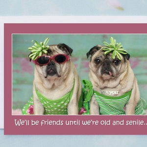 Lustige Freundschaftskarte - Wir sind Freunde bis wir alt und Senile sind - Lustige Karten für Freunde von Pugs and Kisses
