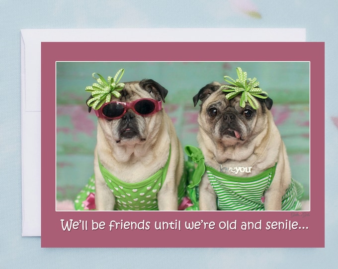 Funny Friendship Card - We'll Be Friends Until We're Old and Senile - Funny Cards for Friends by Pugs and Kisses