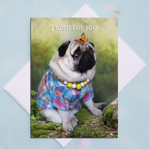 Tarjeta de cumpleaños - Te deseo - Tarjeta de feliz cumpleaños por Pugs and Kisses 5x7