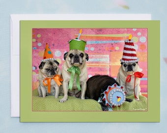 Funny Birthday Card - Party Till You Drop Pug - 5x7