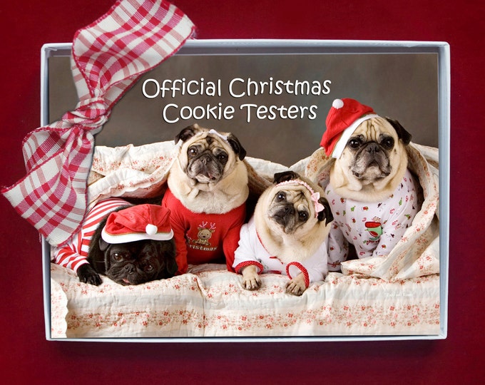BOXED CHRISTMAS CARDS - Official Christmas Cookie Testers - pug christmas cards - 5x7