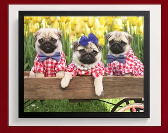 Pug Wall Art - Tulip Pups - Pug Puppies Art Print - Pug Gift - by Pugs and Kisses 5x7 8x10 11x14 16x20