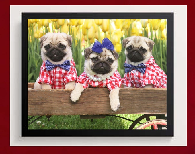 Pug Wall Art - Tulip Pups - Pug Puppies Art Print - Pug Gift - by Pugs and Kisses 5x7 8x10 11x14 16x20