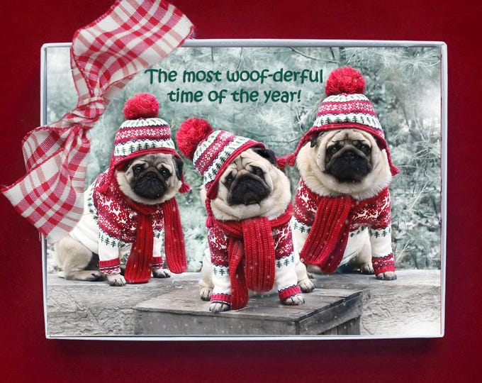 NEW! BOXED HOLIDAY Cards - The Most Woof-derful Time of the Year - Pug Holiday Cards - 5x7