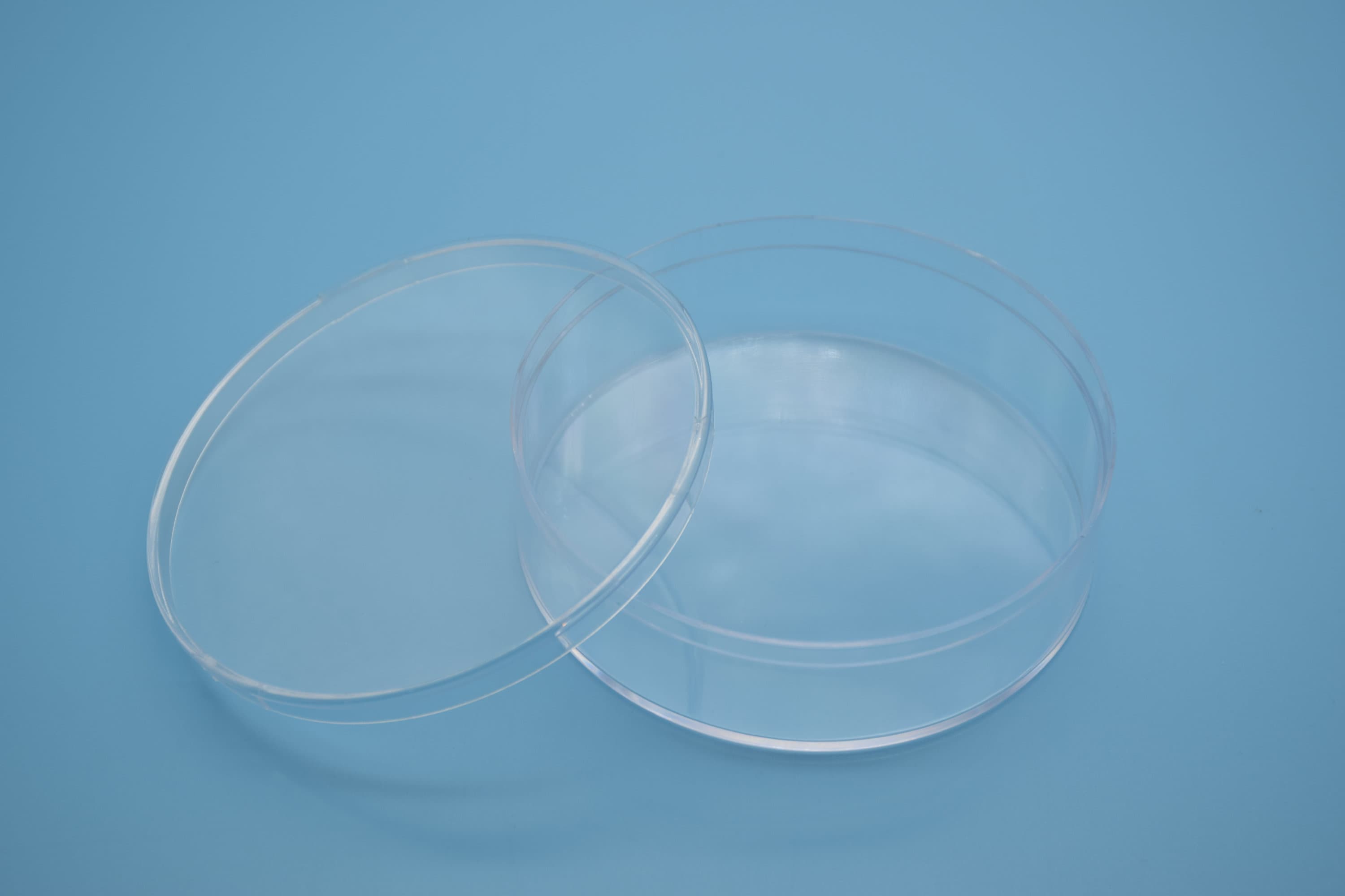 2 cajas redondas de plástico transparente, caja ps transparente con tapa, contenedor de caja transparente, almacenamiento de cajas, cajas de plástico-