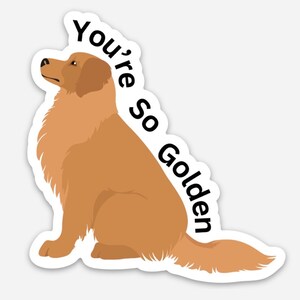 Eres tan dorado, Golden Retriever Imán