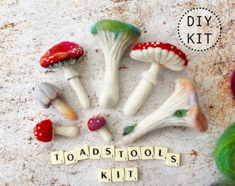 Toadstools beginners needle felting kit with extra supplies / easy photo instructions