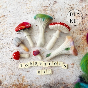 Toadstools beginners needle felting kit with extra supplies / easy photo instructions