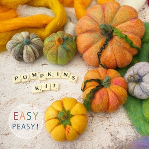 Pumpkins beginners needle felting kit with extra supplies / easy photo instructions image 4